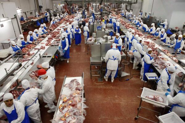 Rusia evalúa prohibir las importaciones generales de carne
