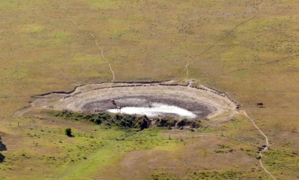 El campo uruguayo fue declarado en Emergencia Agropecuaria por déficit de lluvias