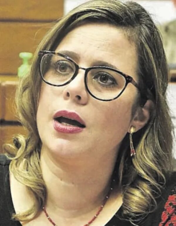 Diputados proyectan ley de la observación electoral nacional - Política - ABC Color