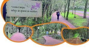 Caminero bajo túnel de árboles, experiencia made in Obligado
