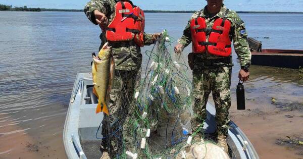 La Nación / Controlan aguas del Paraná a días del inicio de la veda pesquera