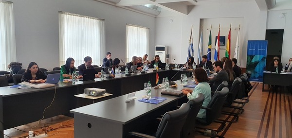 Mercosur aprobó pedido de Paraguay de reducción arancelaria para medicamento - .::Agencia IP::.