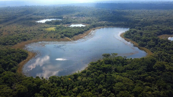 Reservas de Itaipu guarda los últimos remanentes boscosos del Alto Paraná - La Clave