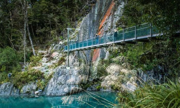 Ofrecen US$ 50 mil por un trabajo en un lugar soñado de Nueva Zelanda, pero solo tres personas se postularon - OviedoPress