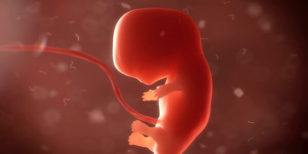 Aborto ante embates - El Independiente