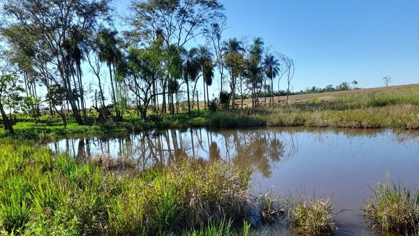 Niño de 6 años muere ahogado en un tajamar