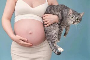 Toxoplasmosis y los gatos - Mascotas - ABC Color