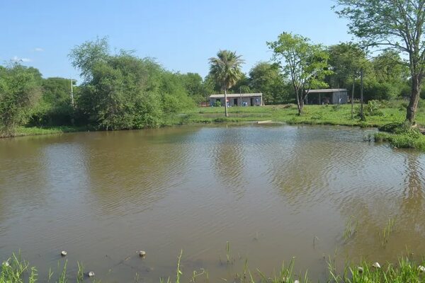 Alto Paraguay: panorama alentador tras las últimas lluvias - Noticias del Chaco - ABC Color