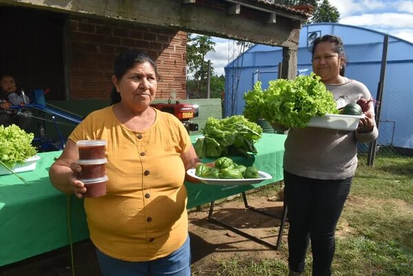 Productores hortícolas se capacitan y mejoran producción - Nacionales - ABC Color