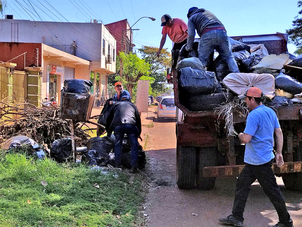 Temen aumento de índice de infestación larvaria - La Clave
