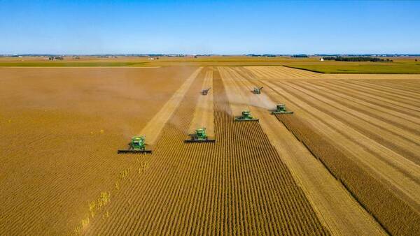 El estado actual de los commodities agrícolas | 1000 Noticias