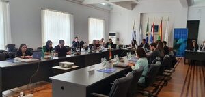Mercosur aprobó pedido de Paraguay de reducción arancelaria para medicamento