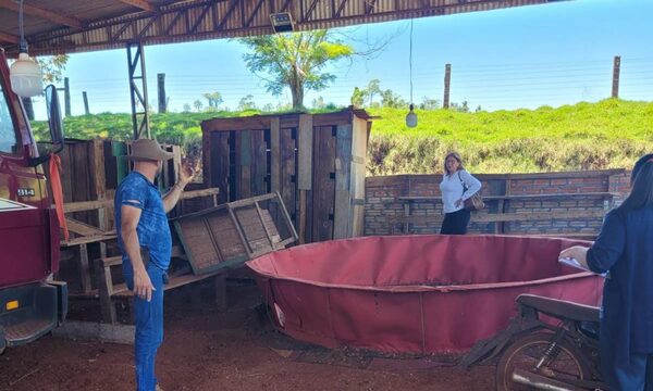 Allanan inmueble donde se realizaban riñas de gallos
