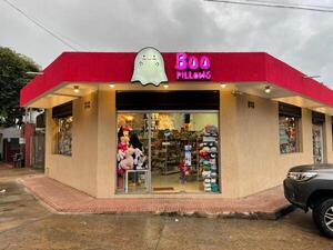 Boo Pillows: nació como un hobby y hoy es una exitosa tienda de regalos | Emprendedores | 5Días