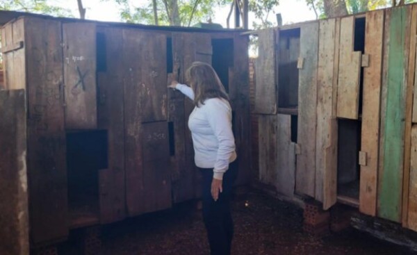 Iruña: allanan inmueble donde organizaban riñas de gallos