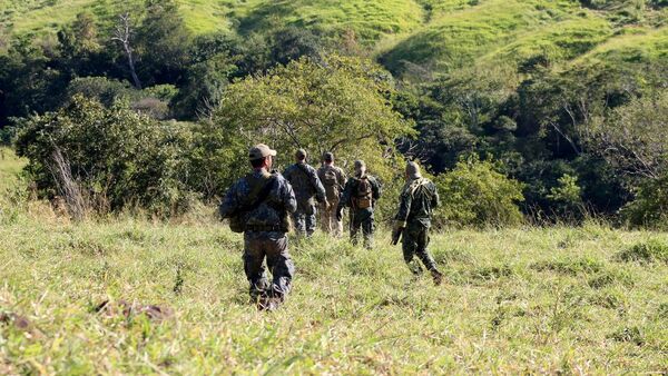 Perjuicio al narcotráfico en área del EPP asciende a USD 210 millones