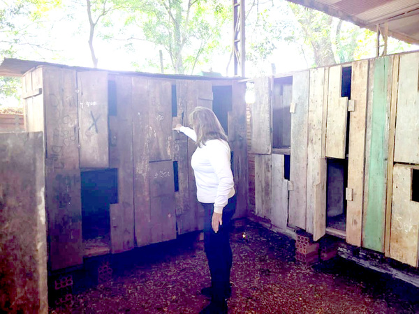 Allanan un inmueble rural de Iruña, donde hacían riñas de gallos, ndaje - La Clave