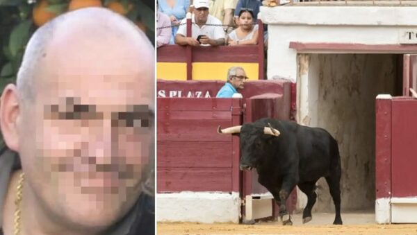 Toro “se hizo el muerto” y mató al carnicero que iba a rematarlo - Noticiero Paraguay