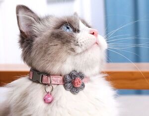 ¿El collar con cascabel es perjudicial para los gatos?