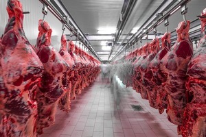 Exportación mundial de carne vacuna caería 1% en 2023