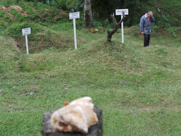 Buscan encontrar cadáveres de campesinos asesinados durante la dictadura