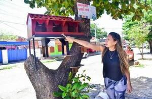 Crónica / Inauguran “Barrio Michi” en para los gatitos abandonados