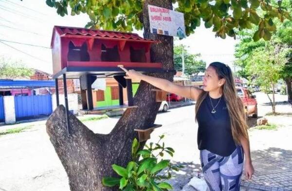 Crónica / Inauguran “Barrio Michi” en para los gatitos abandonados