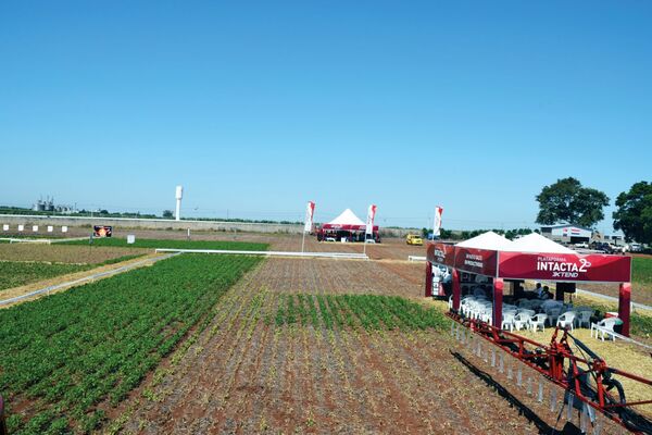 Bayer presentó oficialmente la Plataforma INTACTA 2 Xtend en soja en Paraguay