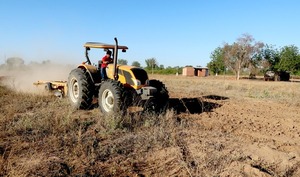 Lanzaron oficialmente el Plan Agrícola 2022-2023 en el departamento de Boquerón