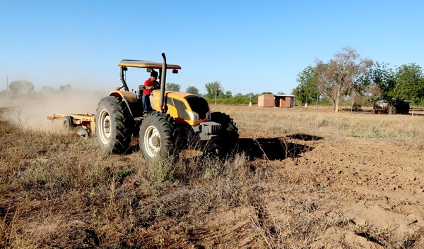 Lanzaron oficialmente el Plan Agrícola 2022-2023 en el departamento de Boquerón