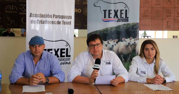 La Nación / Presentaran la 5ta Nacional Texel, con récord de inscriptos y nuevas cabañas expositoras