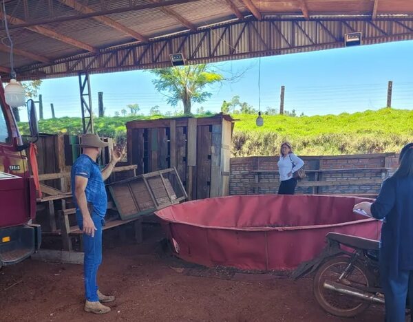 Allanan inmueble donde se realizaban riñas de gallos y encuentran evidencias - ABC en el Este - ABC Color