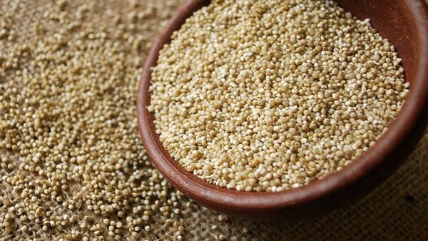 Alimentos sanos en tiempos de pandemia | 1000 Noticias