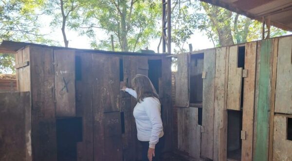 Allanan inmueble donde se realizaban riñas de gallos