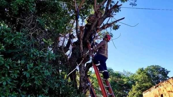 Trabajador muere electrocutado en Horqueta