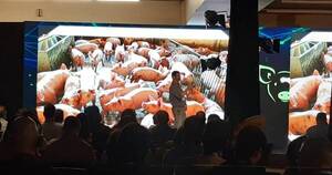 La Nación / Paraguay participa de Pork Expo, la muestra de producción porcina más grande de Sudamérica