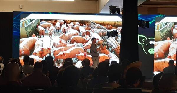 La Nación / Paraguay participa de Pork Expo, la muestra de producción porcina más grande de Sudamérica