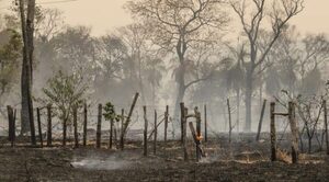 IPCA lanza concurso de cómics con el conceto "Cambio climático en Paraguay"