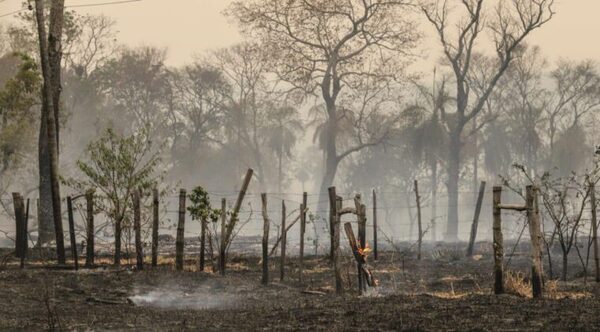 IPCA lanza concurso de cómics con el conceto "Cambio climático en Paraguay"