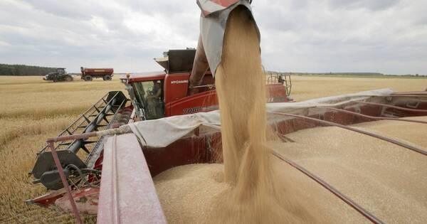La Nación / Precios de commodities agrícolas siguen dependiendo de los riesgos internacionales, señalan