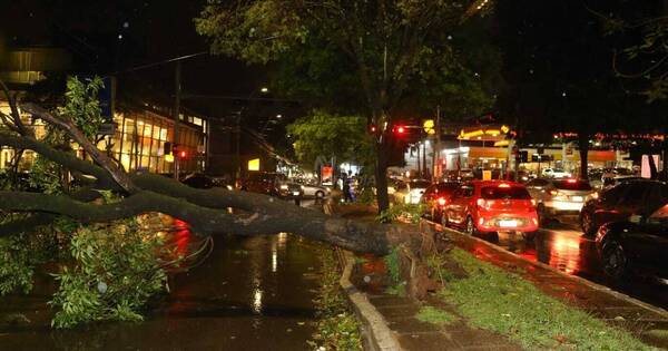 La Nación / Raudales, árboles caídos y cortes de luz: tormenta causa estragos en Asunción y otros puntos del país