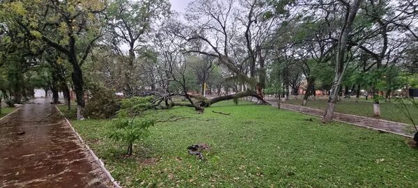 Intensas lluvias y fuertes ráfagas de viento se registraron en la capital de Misiones - Nacionales - ABC Color