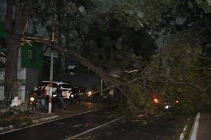 Temporal causa destrozos en distintos puntos del país