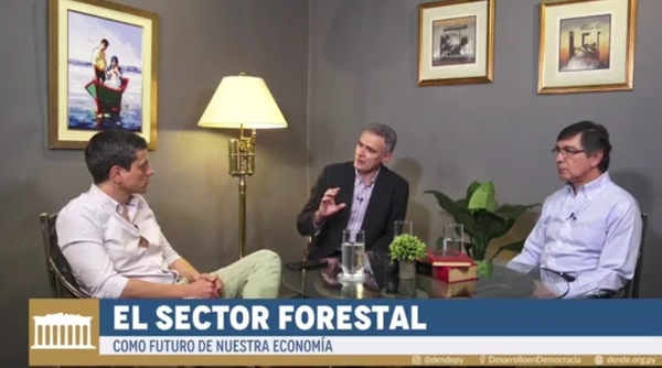 Producción forestal puede convertirse en tercer hito que impulse desarrollo del Paraguay