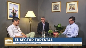 Producción forestal puede convertirse en tercer hito que impulse desarrollo del Paraguay
