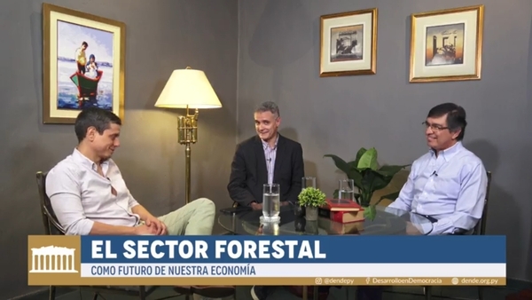 Producción forestal puede convertirse en tercer hito que impulse desarrollo del Paraguay