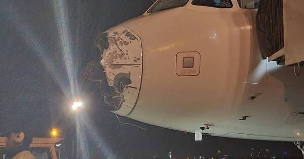 La Nación / “El piloto fue mi héroe, pero no logro entender cómo quiso intentar una segunda vez”