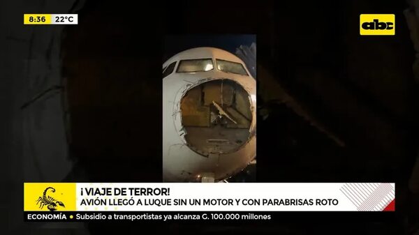 Pabla Thomen sobre percance de vuelo - ABC Noticias - ABC Color