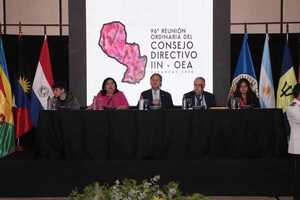 Consejo del Instituto de la Niñez y Adolescencia de la OEA se reúne en Paraguay - .::Agencia IP::.