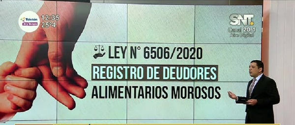 Prestación Alimentaria: Padres morosos en la mira - SNT